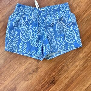 Chubbies Thighnapes pineapples blue medium 4in